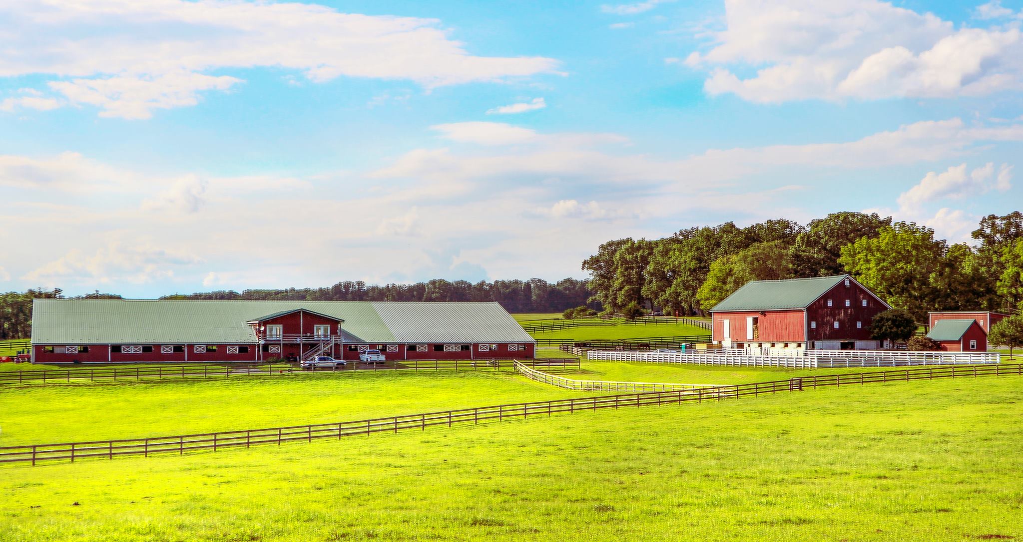 Good News Stable, Inc. | Boyds MD