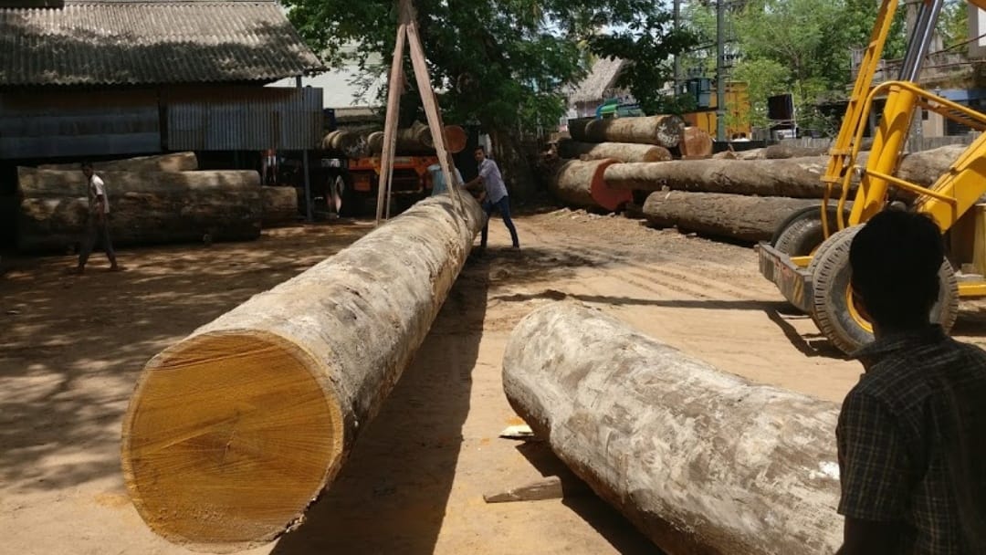 Mani - Continuous supply of selected Kerala Teak wood logs are done to ...