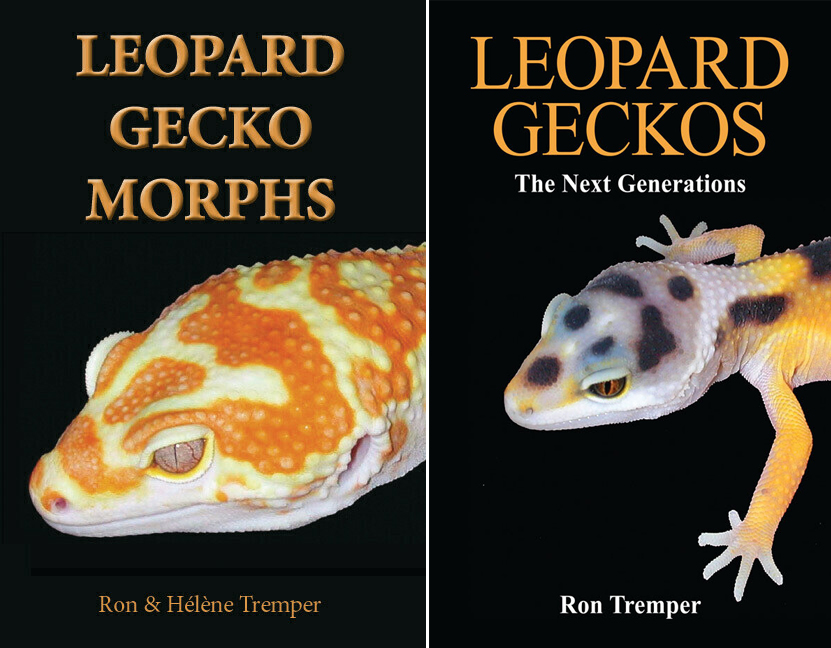 Now available in e-book format: “Leopard Geckos - The Next