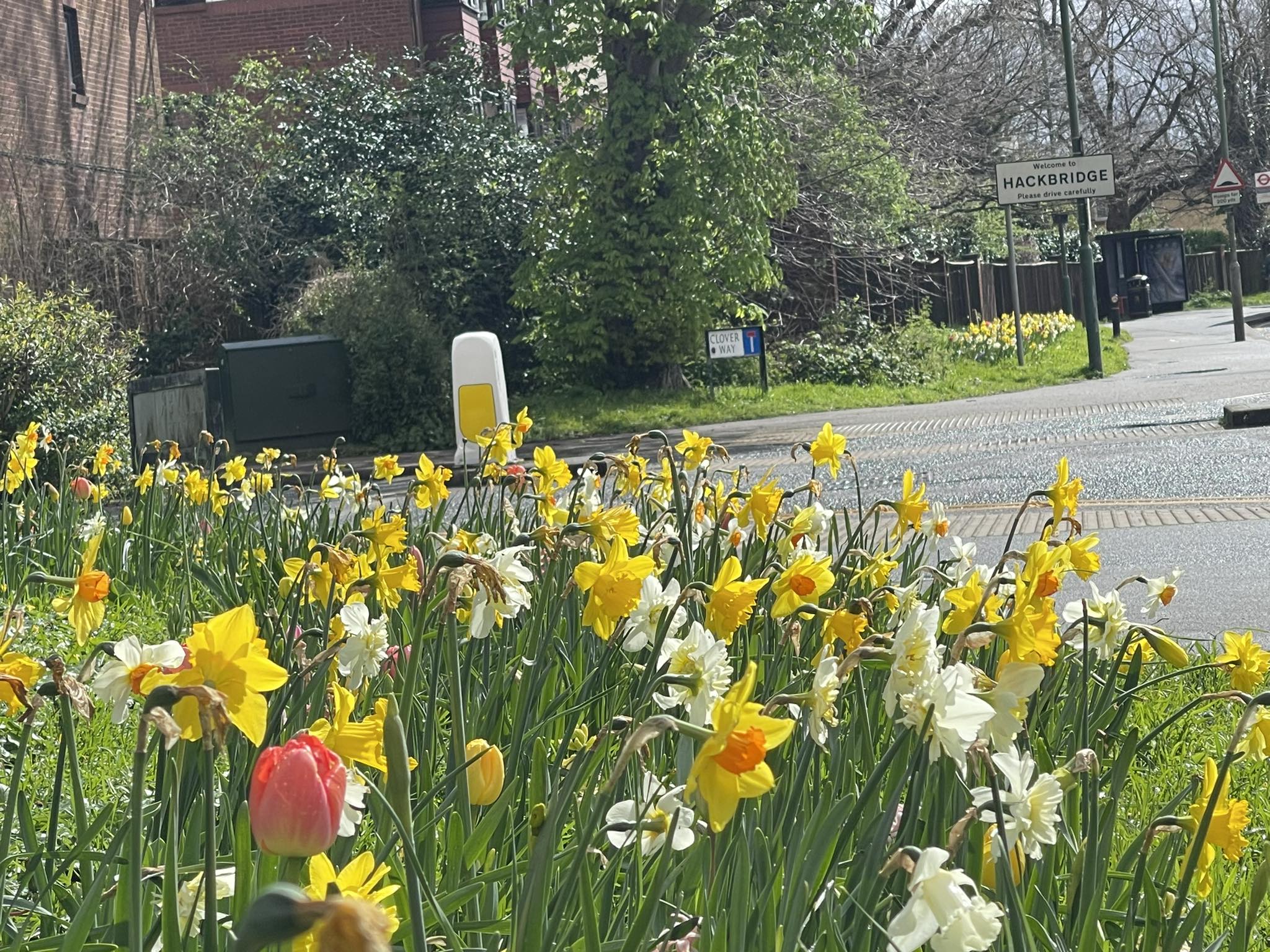 Hackbridge & Beddington Corner Neighbourhood Development Group