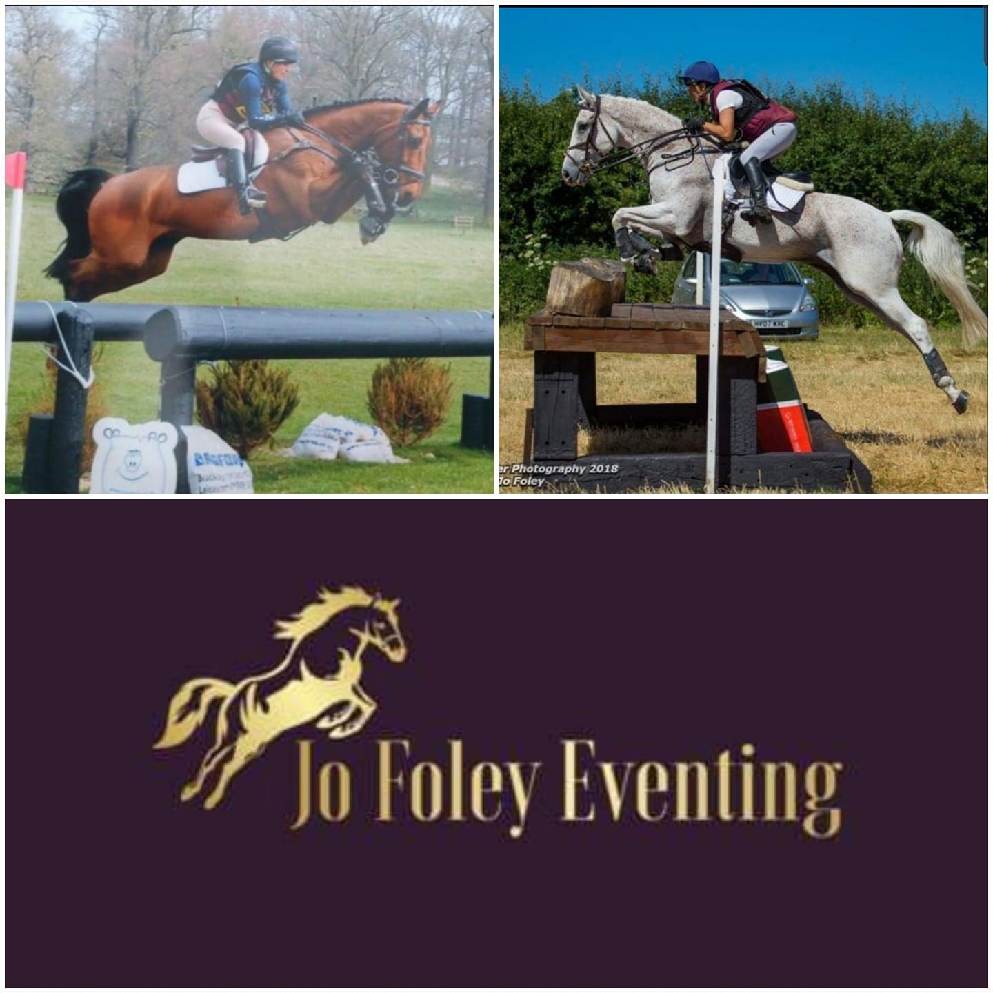 Coleman in his transition from racehorse to riding horse ready to have ...