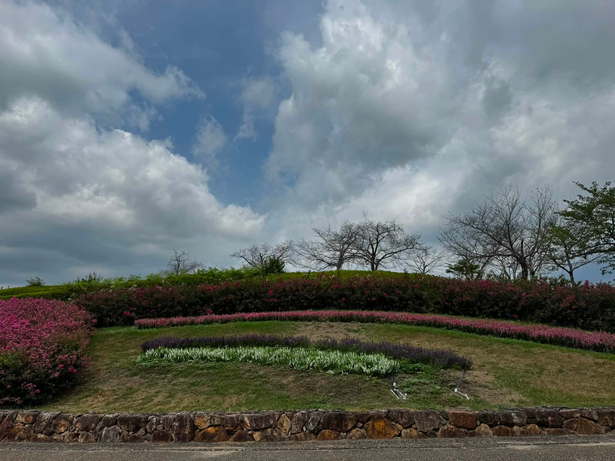馬見 丘陵 公園 北 エリア