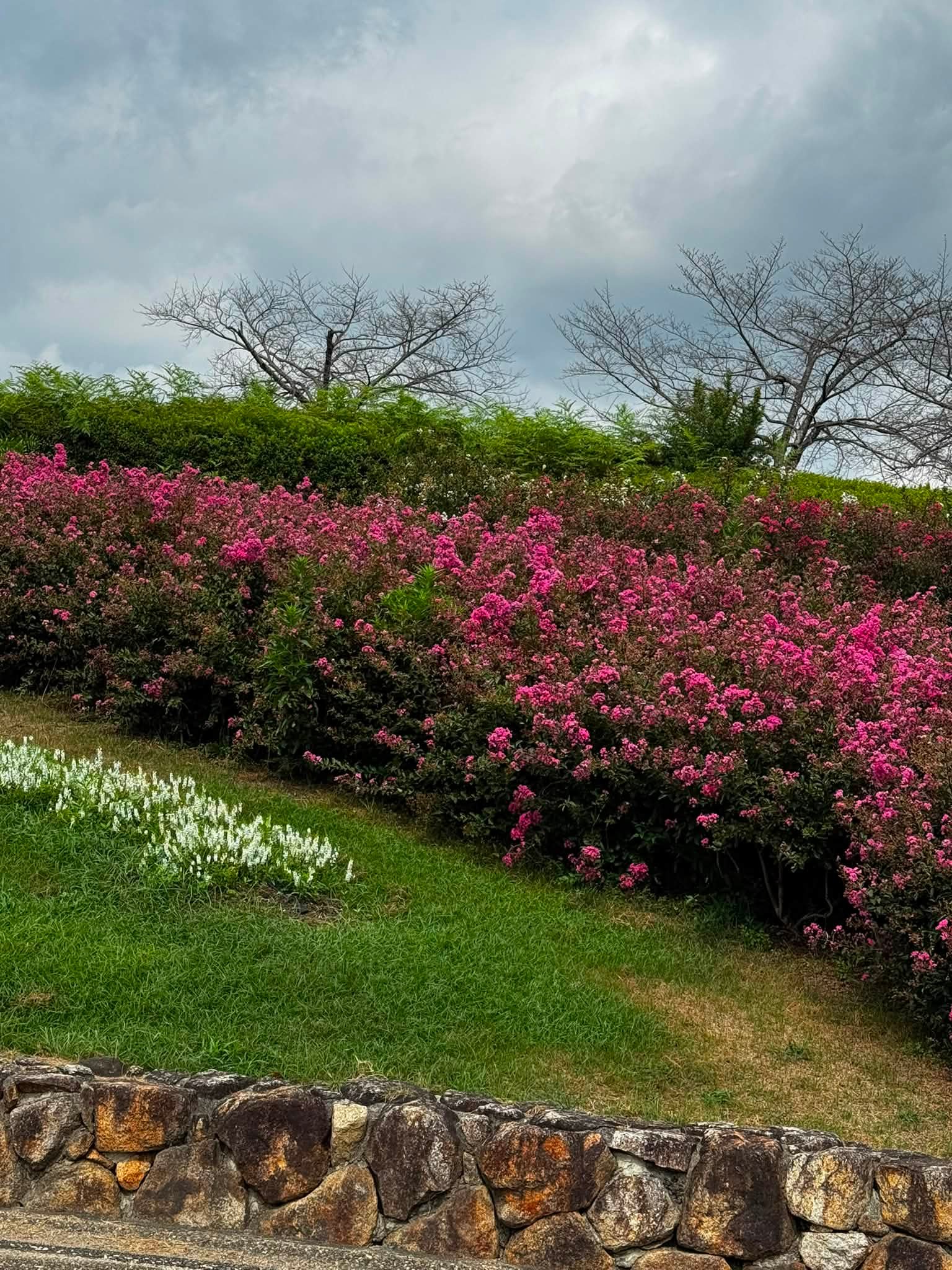 馬見 丘陵 公園 北 エリア