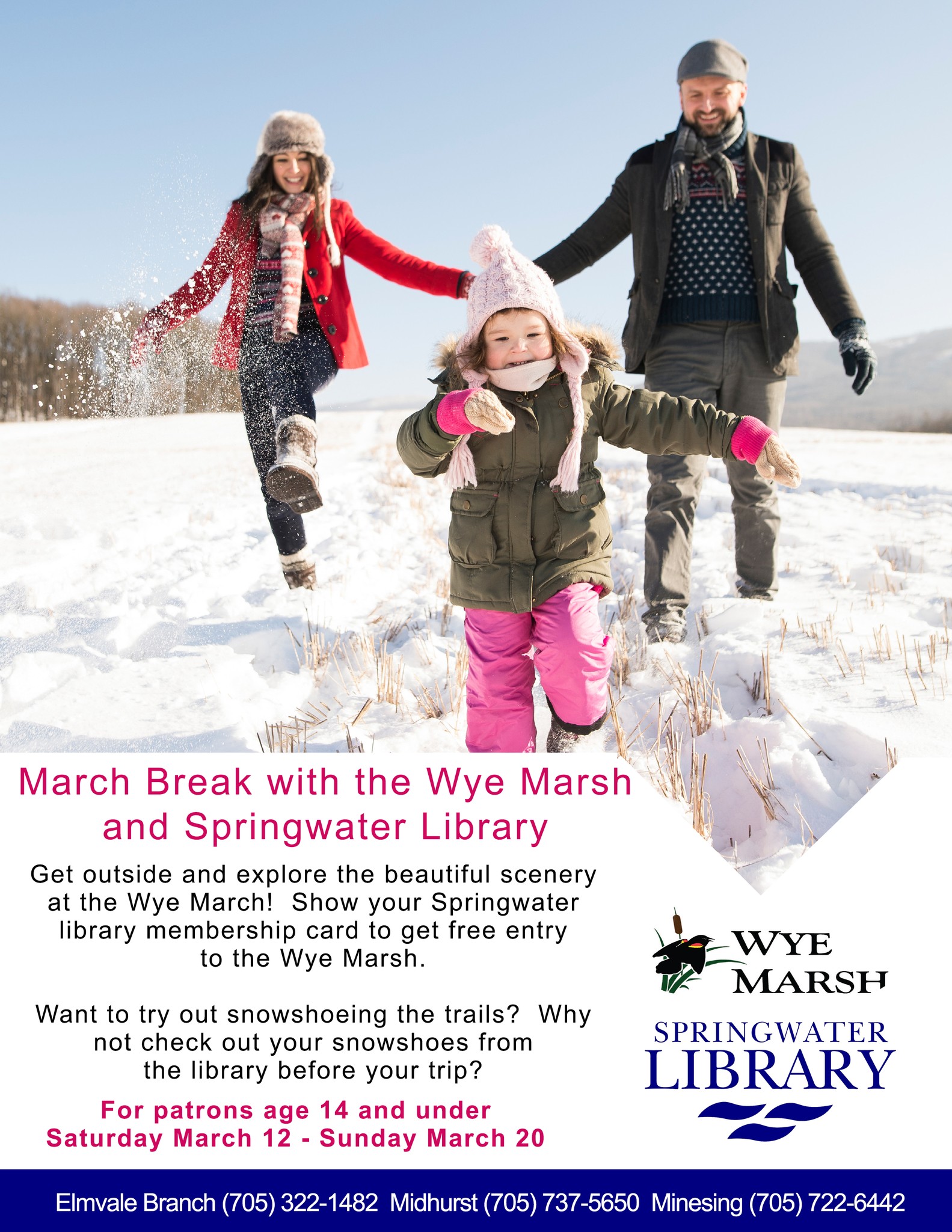 Here's just one of the... - Springwater Public Library | Facebook