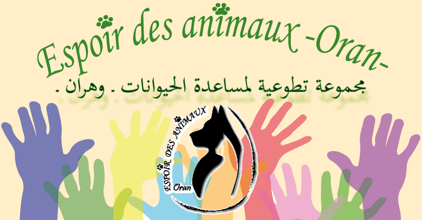 campa-campaign-to-help-pet