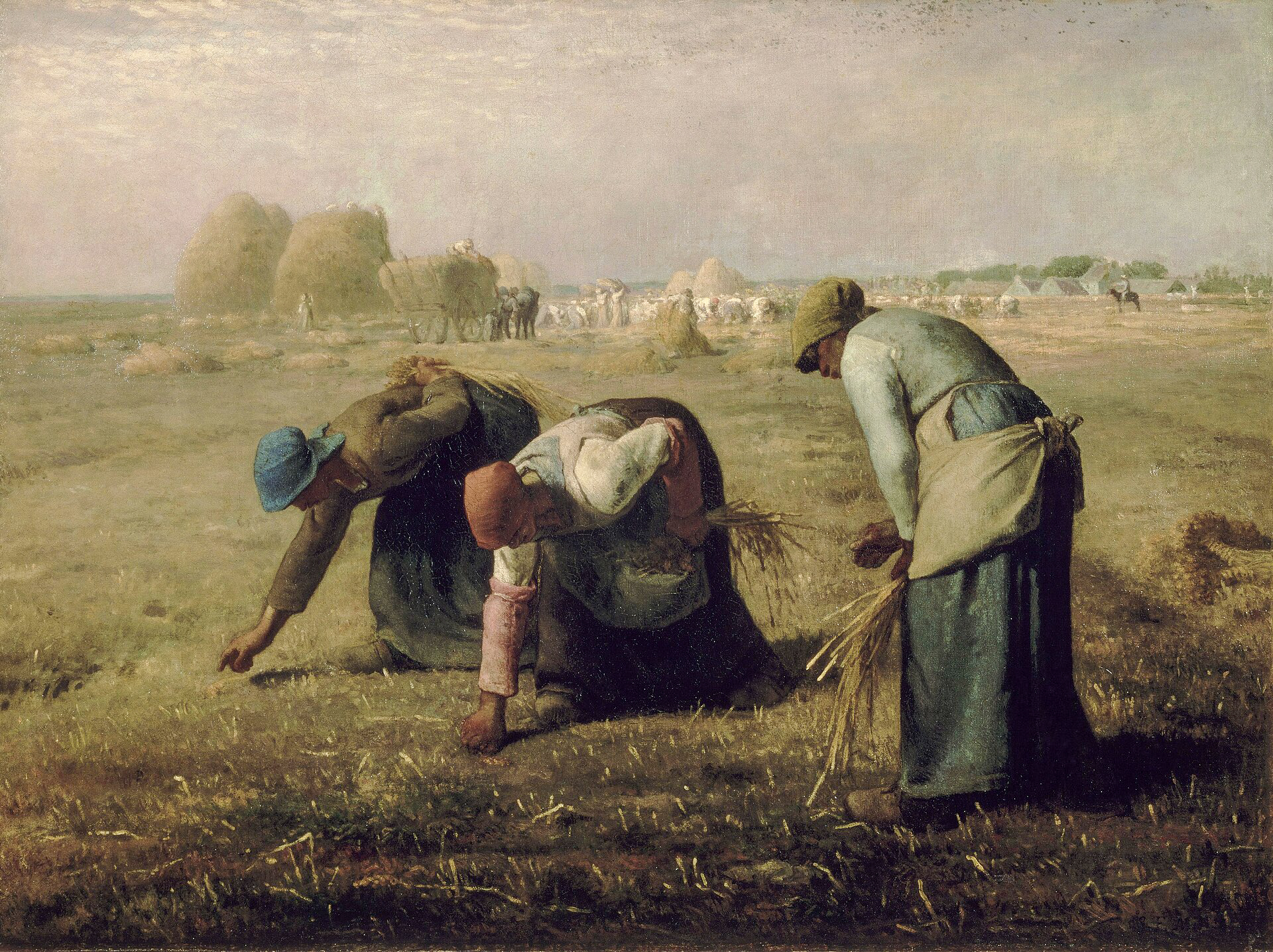 🌾 A Stalk of Strength Gleaners collected the stalks of grain left