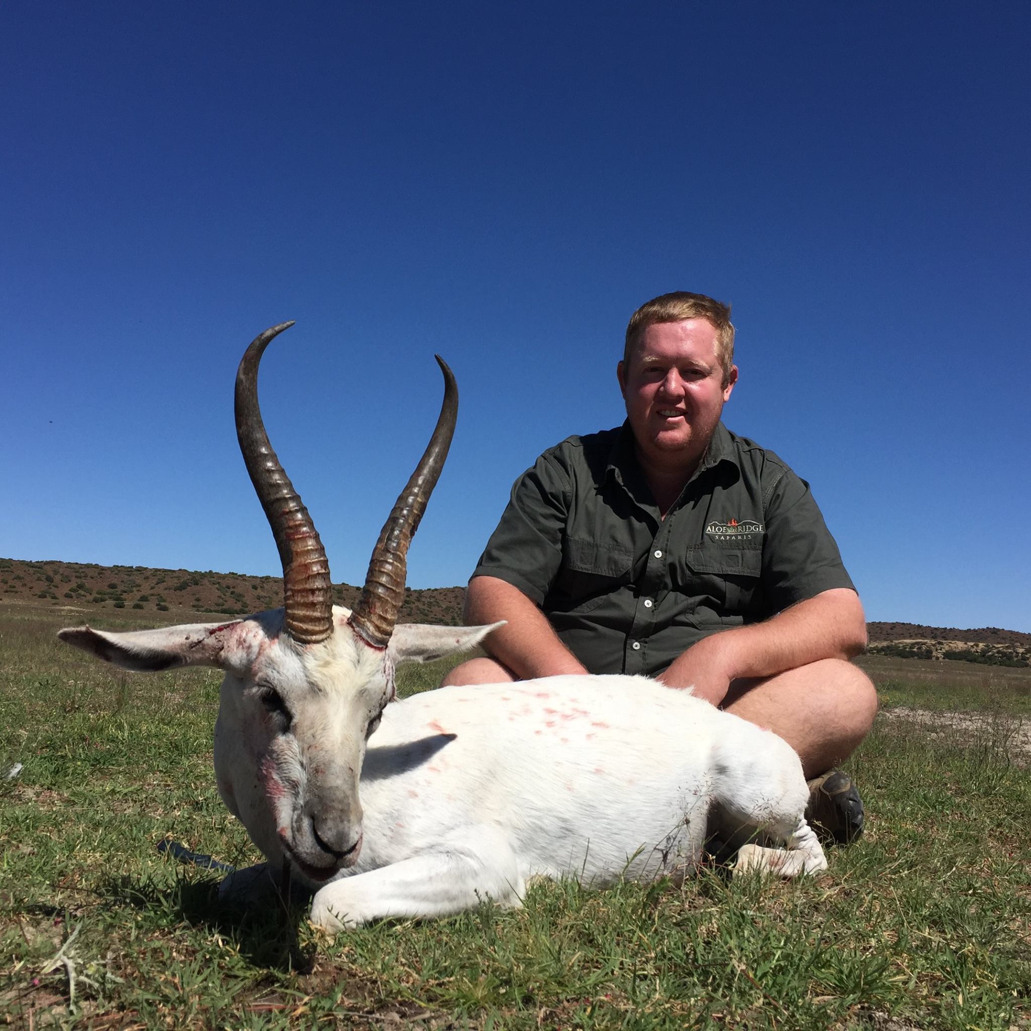 MEGA SPRINGBUCK | De Aar