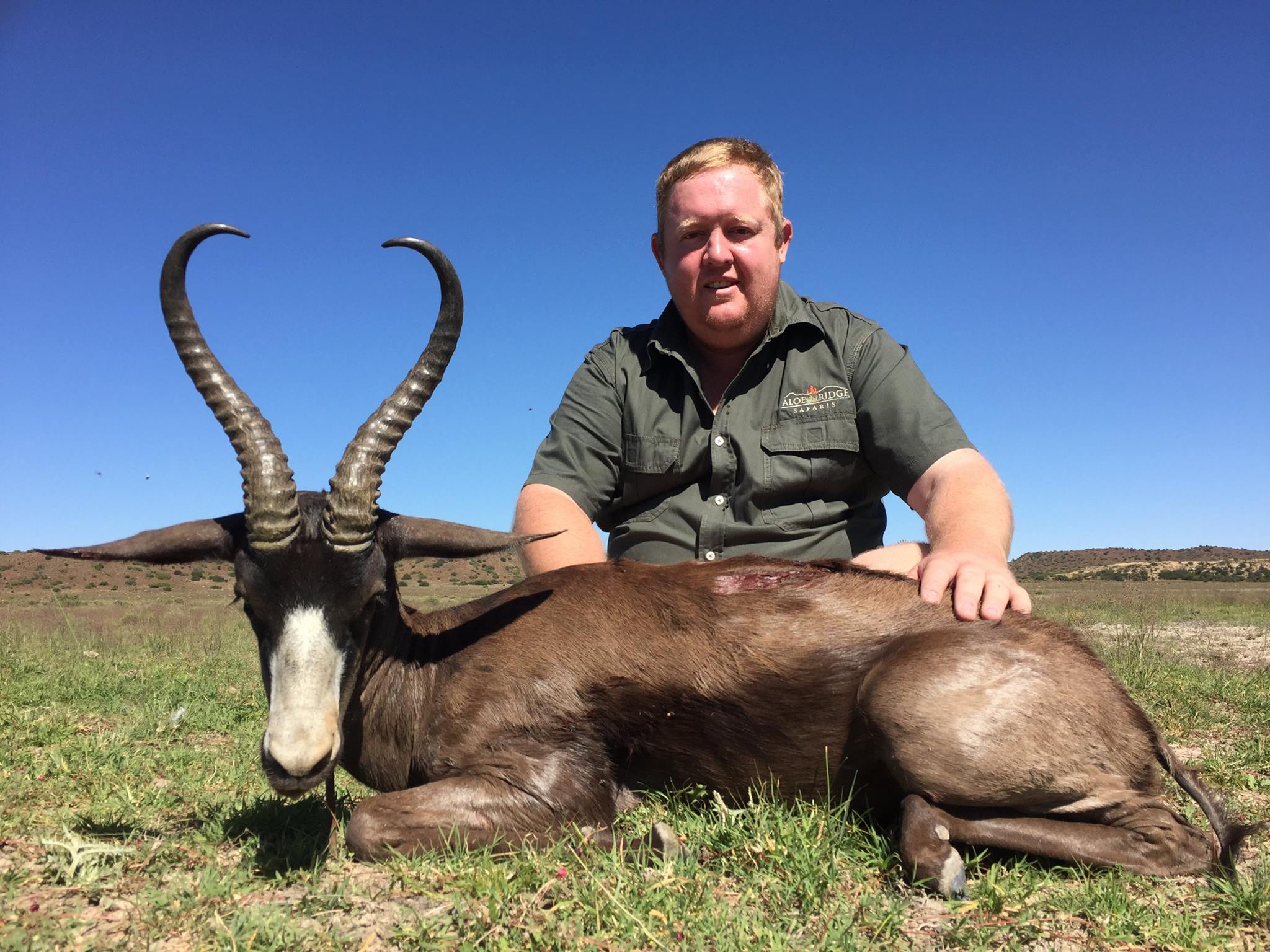 MEGA SPRINGBUCK | De Aar