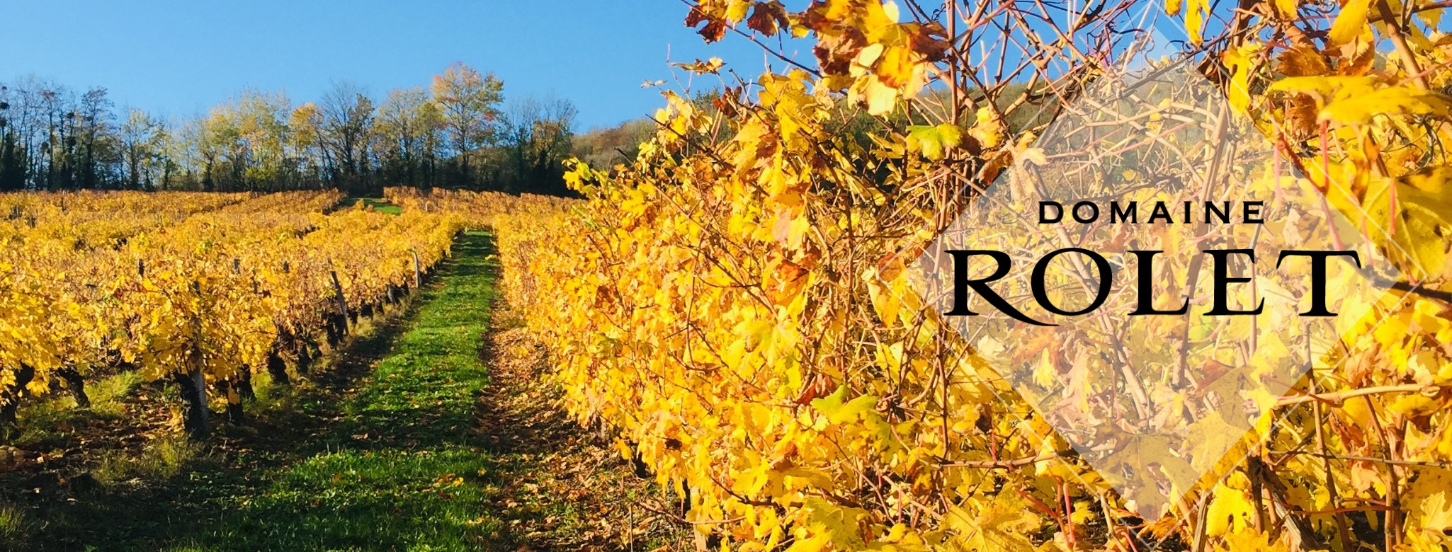 Domaine Rolet