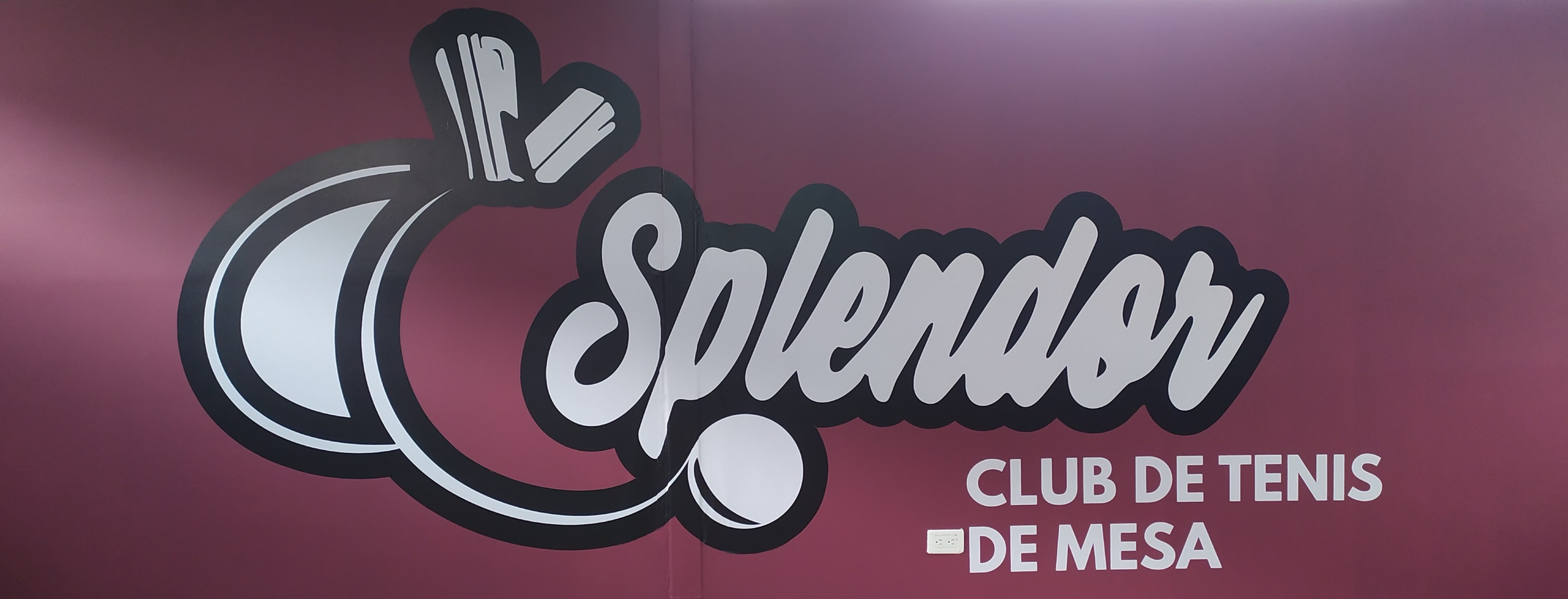 Splendor club tenis de mesa