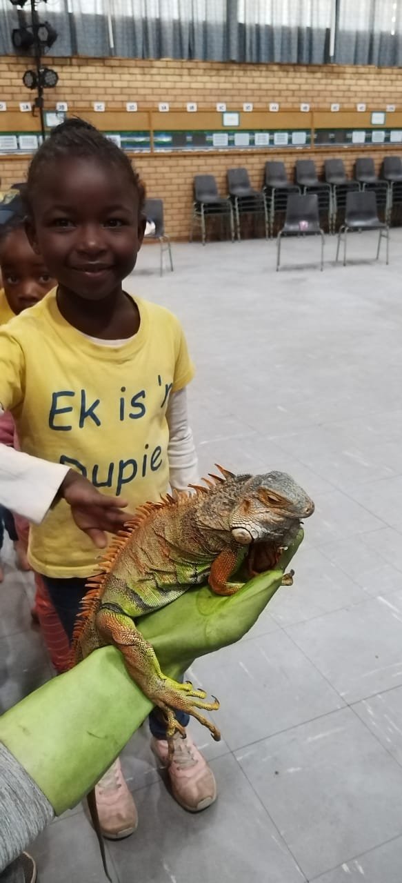 laerskool-du-preez-van-wyk-laerskool-du-preez-van-wyk