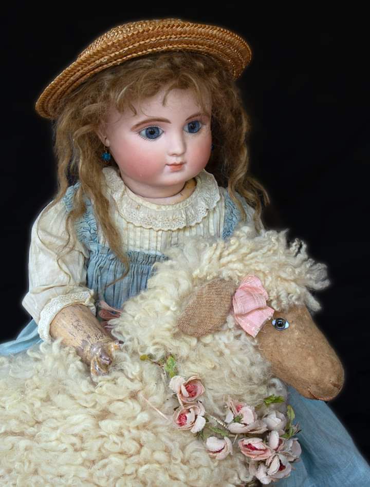 Antique doll 　Sheep Steiner C with antique sheep. My private collection