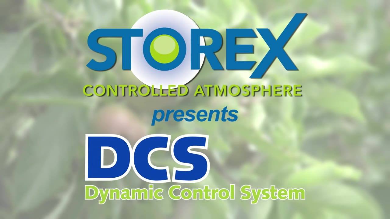 Storex Controlled Atmosphere | 's-Gravendeel