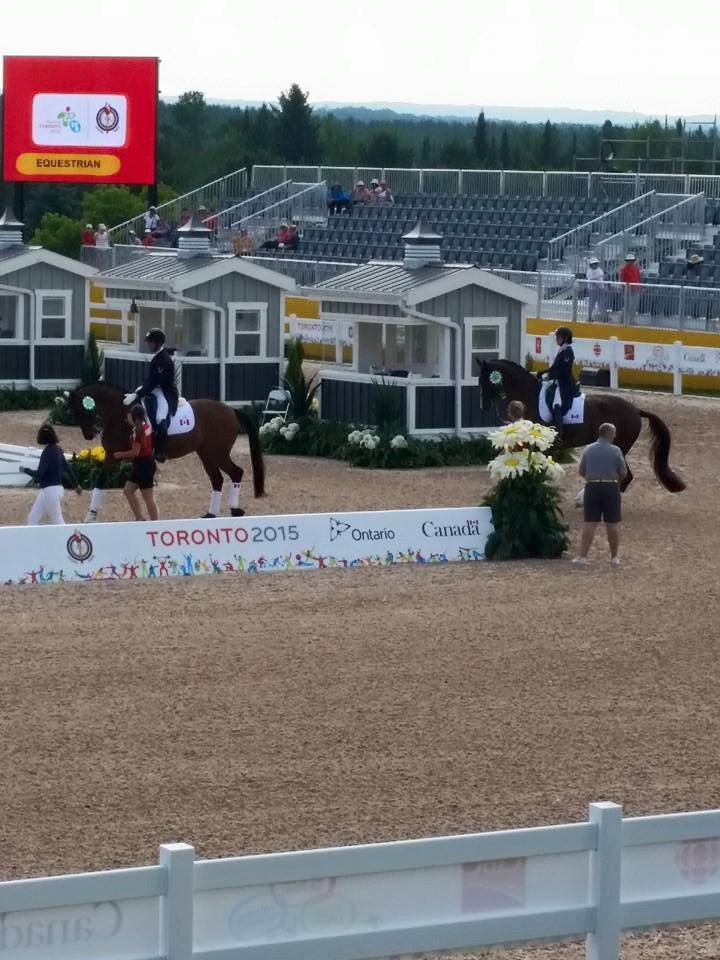 Justin Ridgewell Dressage - Home
