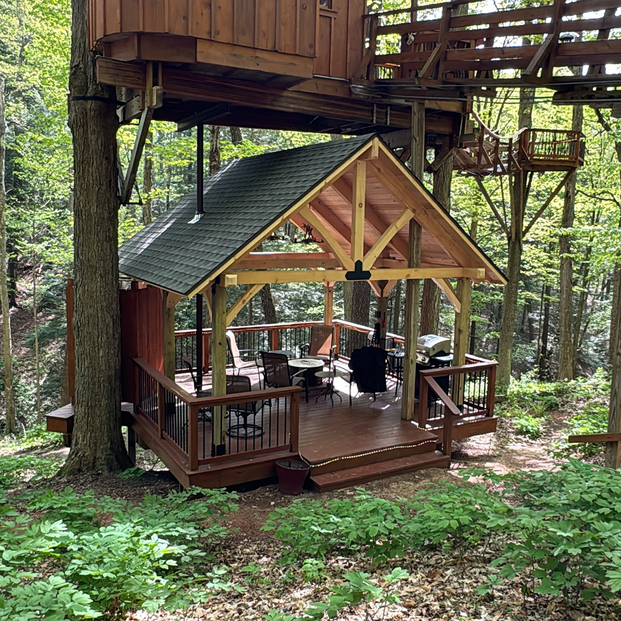 The new timber frame... - The Chez Tree Rest Treehouse