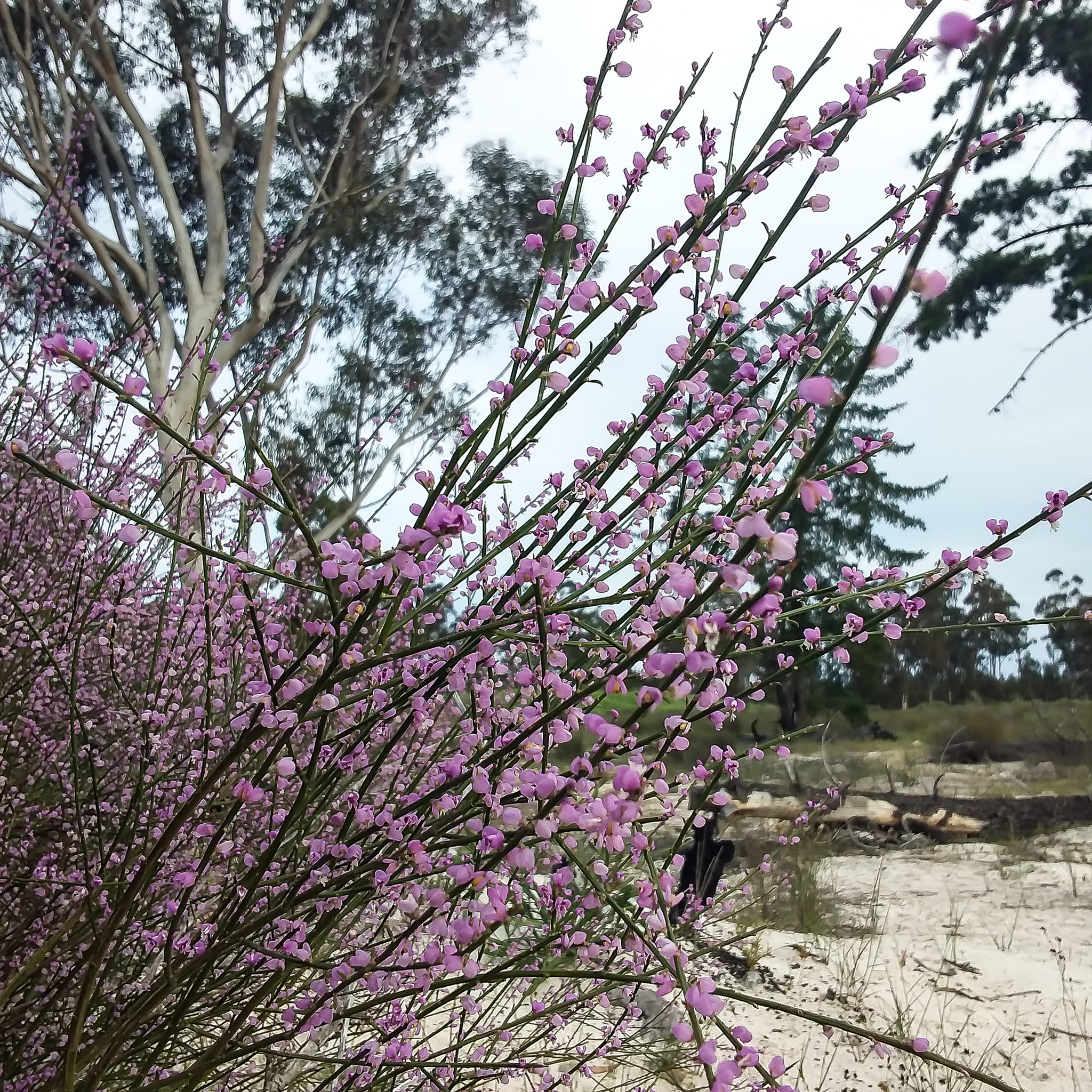 Zoute River | Hopefield