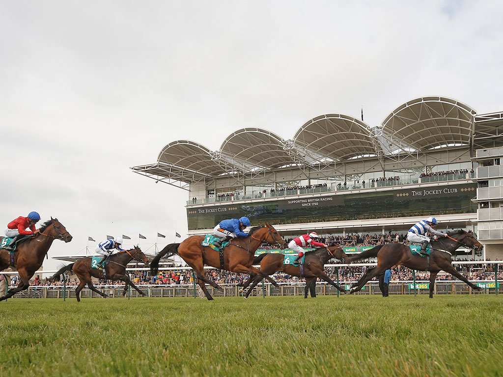 Poppy Race Day at Newmarket