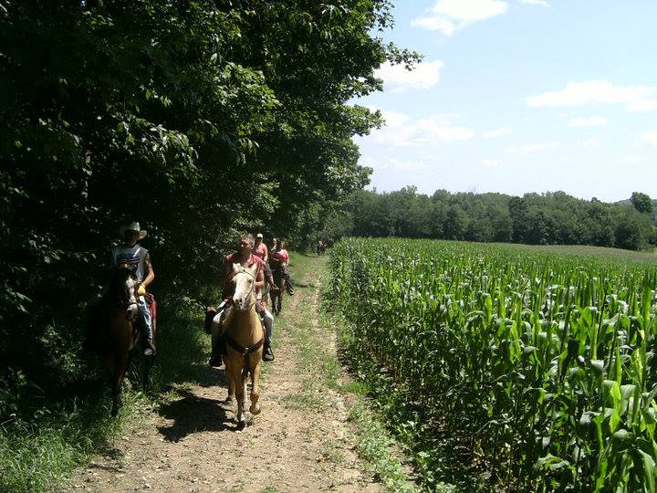Triple R Riding Club, Inc.... - Triple R Riding Club, Inc.