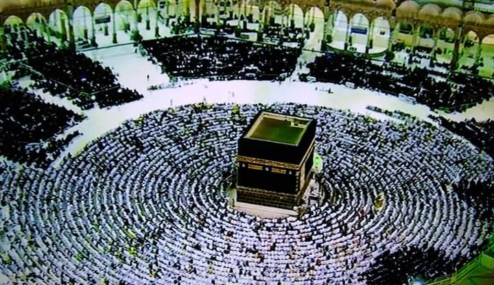القرآن الكريم - معاني مفردات الآيات الكريمة من (14) إلى (18) من سورة ...