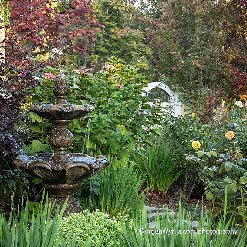 Jenna Bayer Garden Design | Mountain View CA