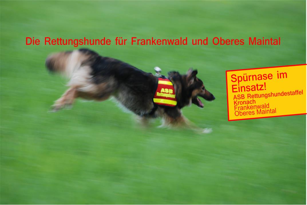 AG Mantrailing - k9unit - - Keine Zeit zum Gassi gehen? Bei Dogwalkern ...