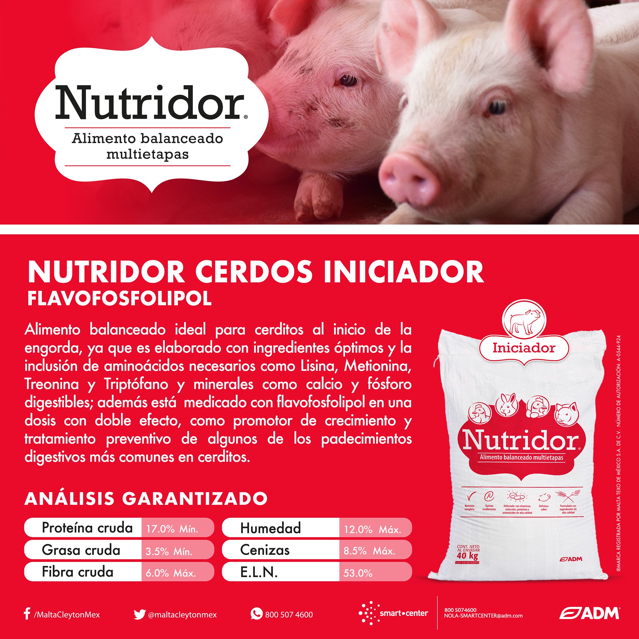 Ingredientes principales en el concentrado de cerdo