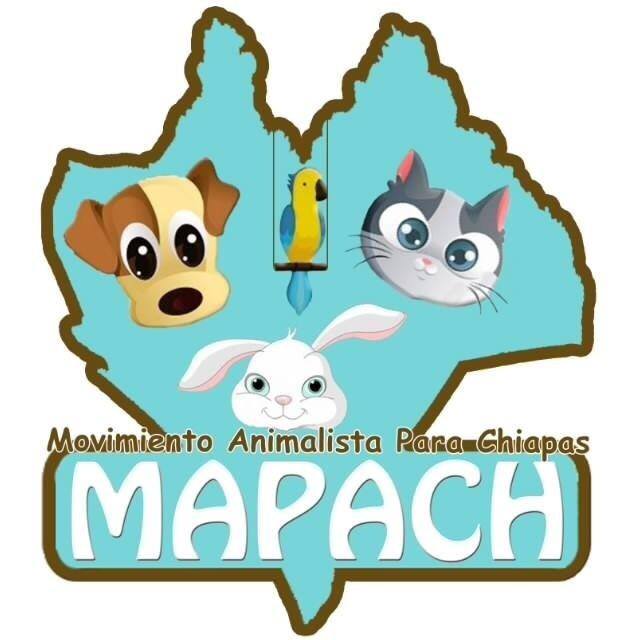 Mapach... - Mapach A.C. 