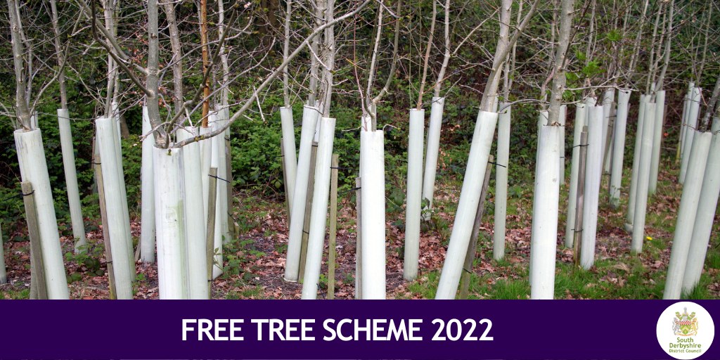 South - 🌳 The popular Free Tree Scheme is back, and applications for ...