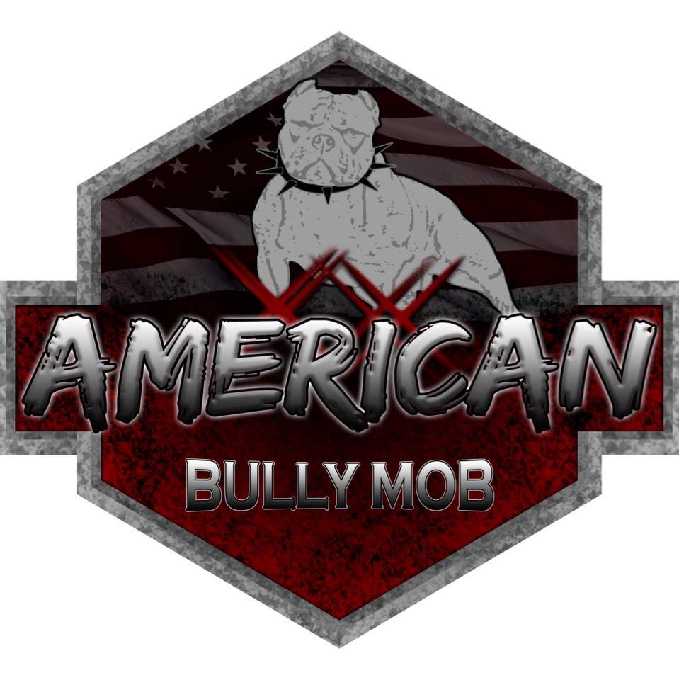 Atlanta Bully Mob on Reels