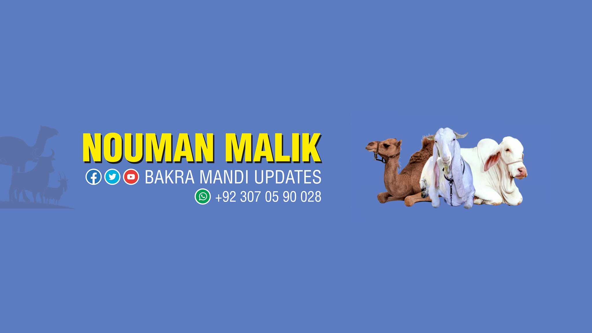 nouman-malik