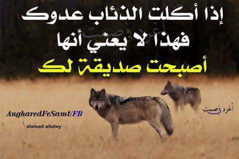لو كل كلب عوا الفمته حجرا... - Gomaa Hussein Abdel Rahem | Facebook