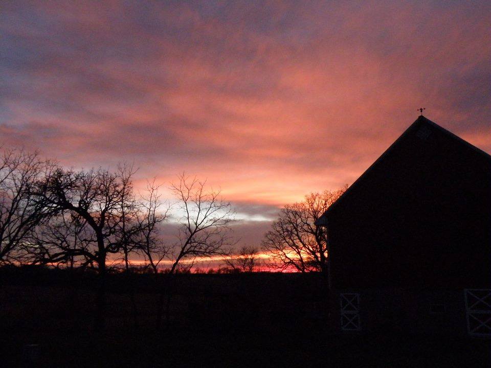 Irish Ridge Farm B&E