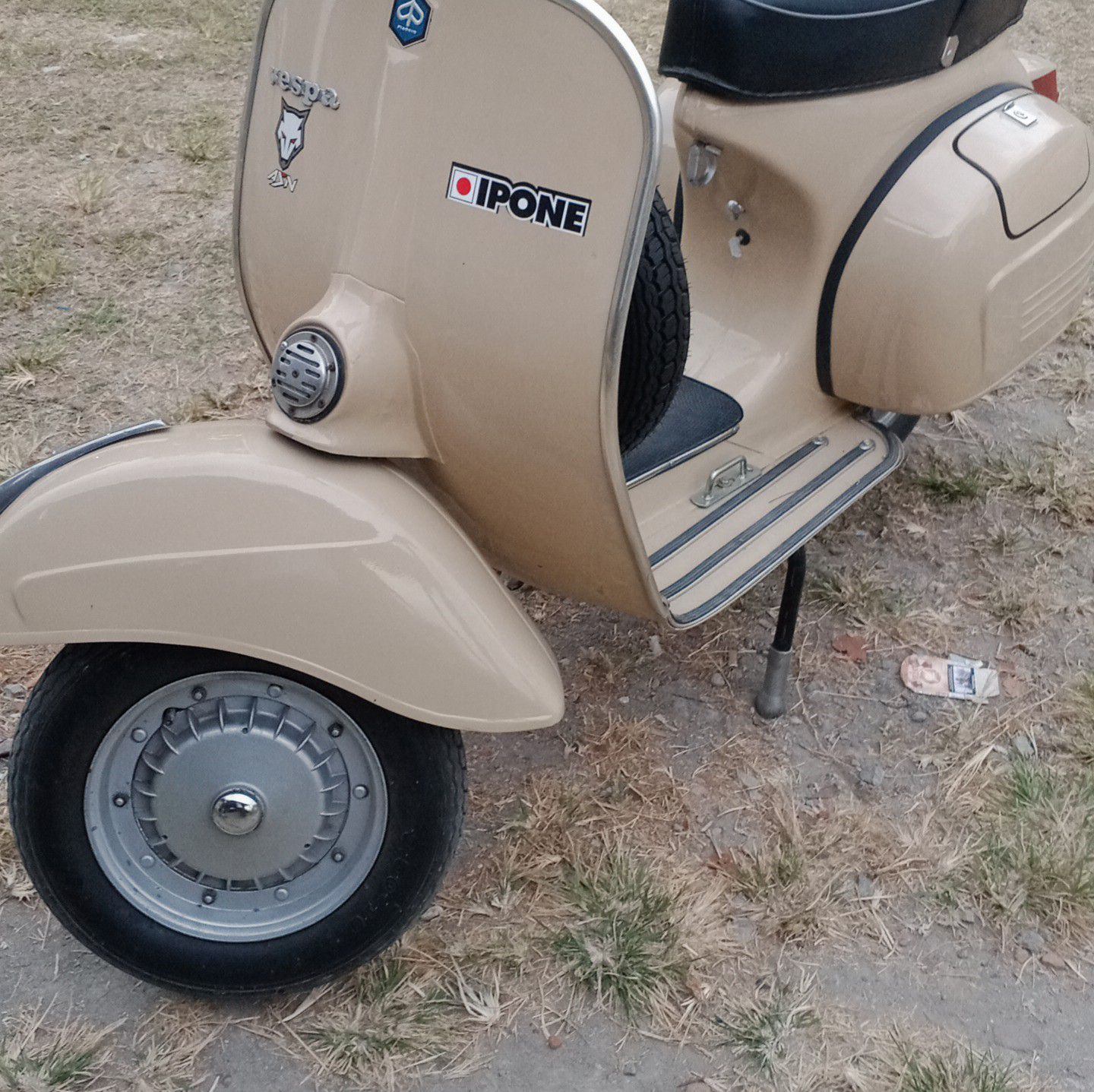 Mas Roni