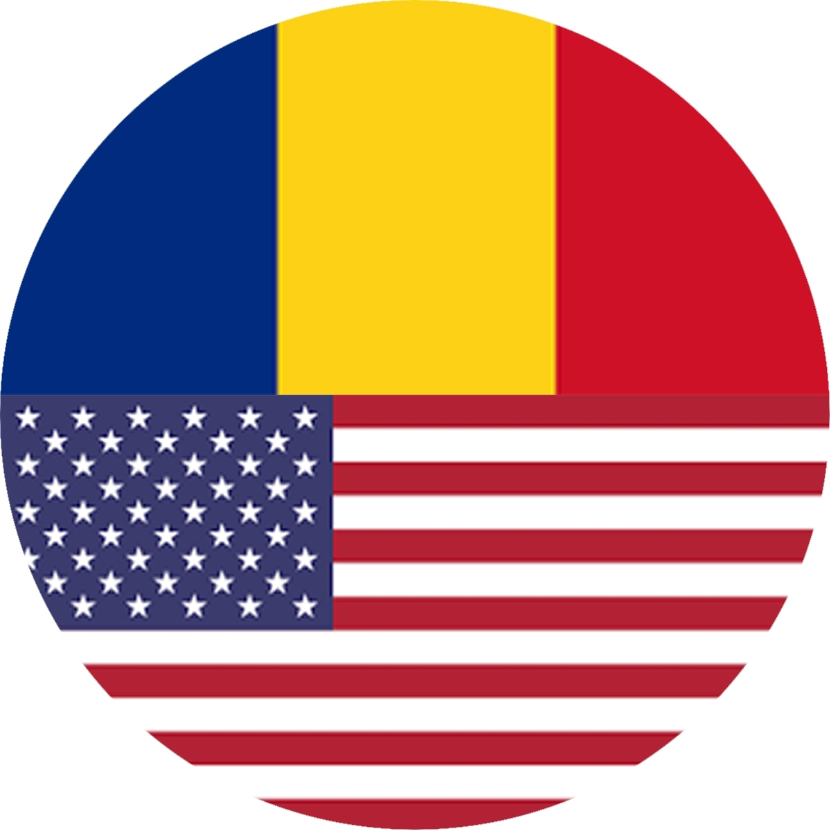 Famous Romanian gymnast and Honorary Consul General of Romania in ...
