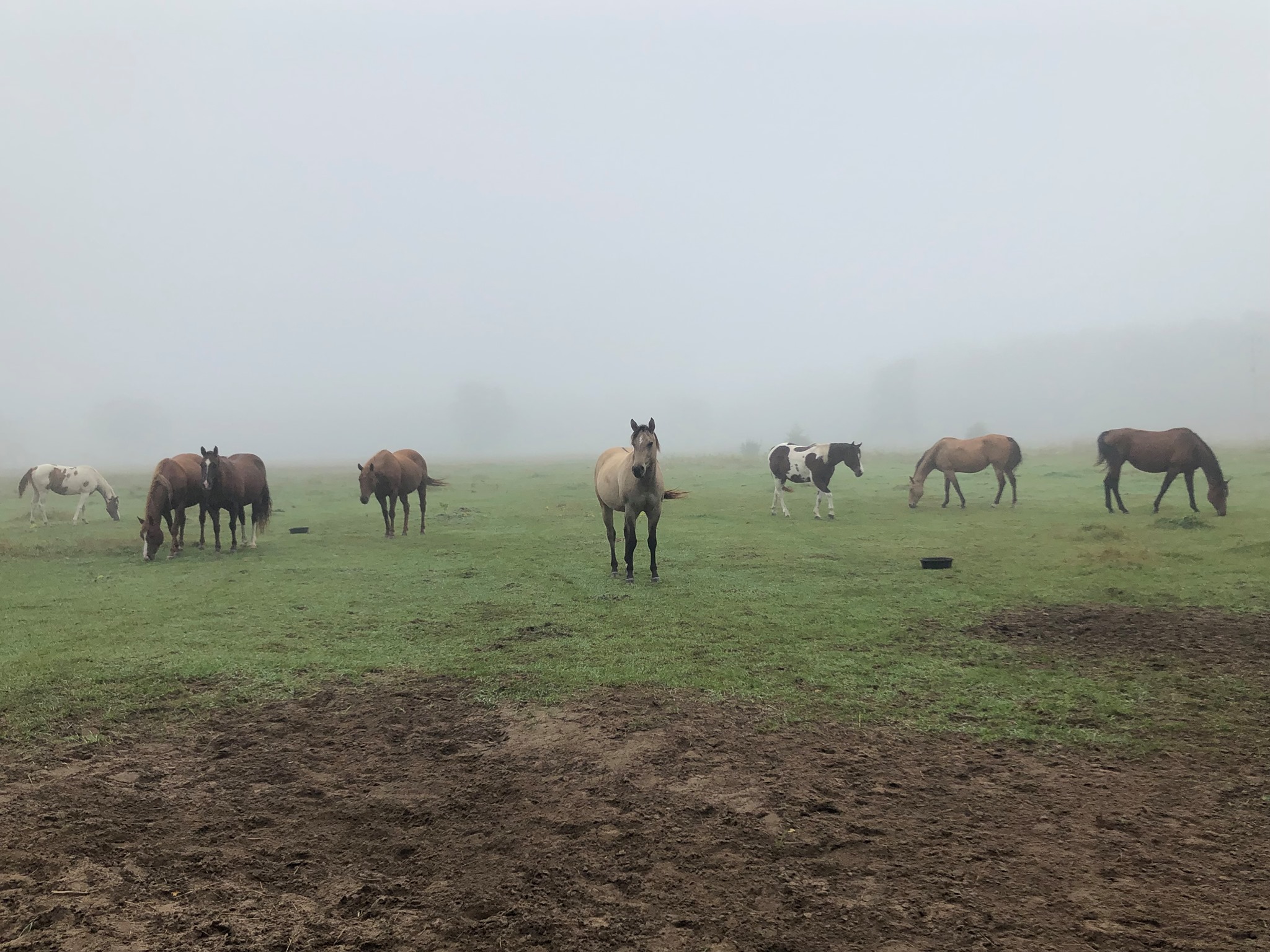 Triple R Ranch