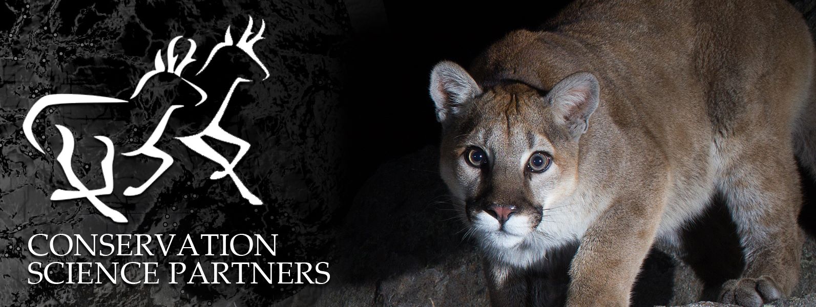 Conservation Science Partners | Truckee CA