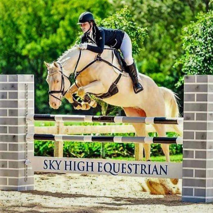 I break in all my young horses, I do the ground work and prep, I’m no ...