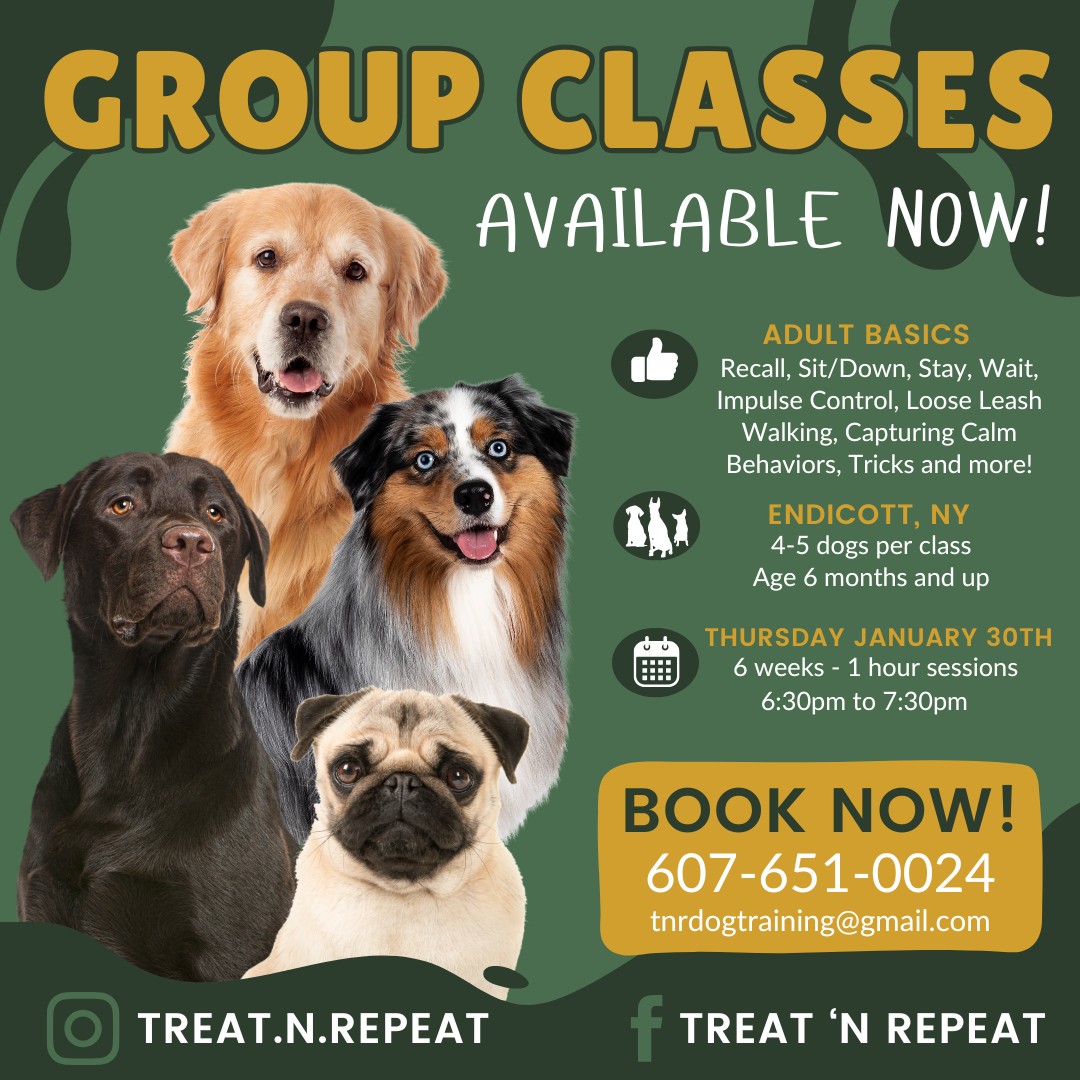 Treat 'N Repeat