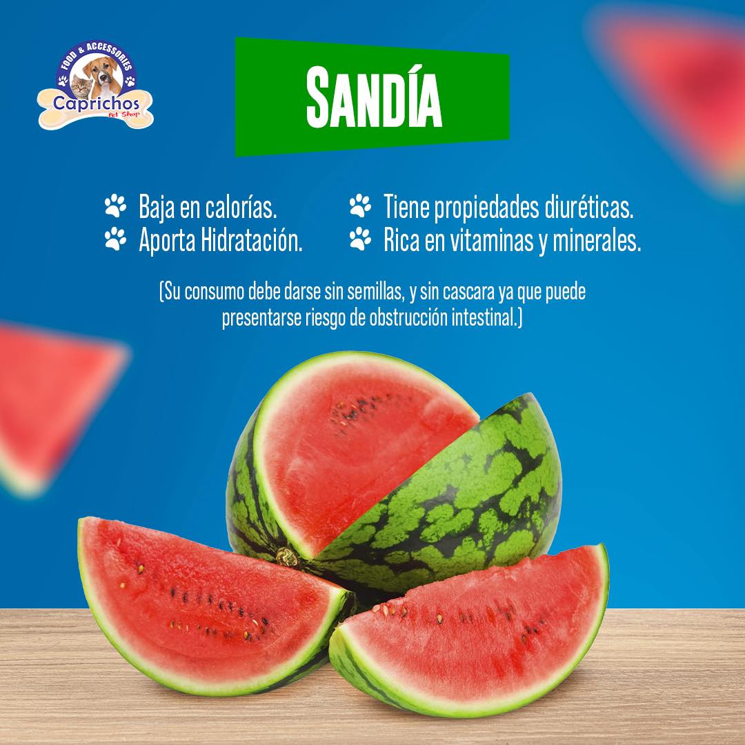 Caprichos Pet Shop | Fusagasuga