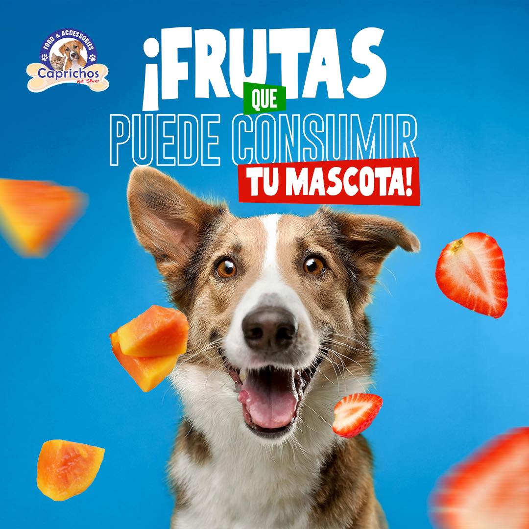 Caprichos Pet Shop | Fusagasuga