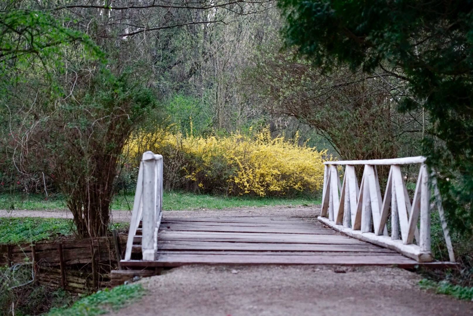 Parcul Dendrologic Simeria | Simeria