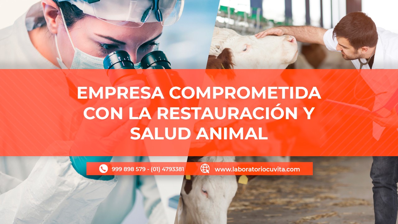 Agroveterinario Santa Rosa S.A. - KILLER CAMPEON RATICIDA GRANULADO 5g ...