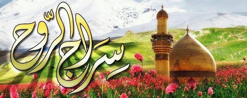 نور الزهراء - يامهدي مدد . . 🌹آل محمد يصفون لنا إمام زماننا عجل الله ...