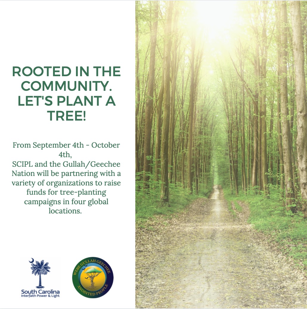 Our Global TREE Campaign will... - Gullah/Geechee TV (GGTV)