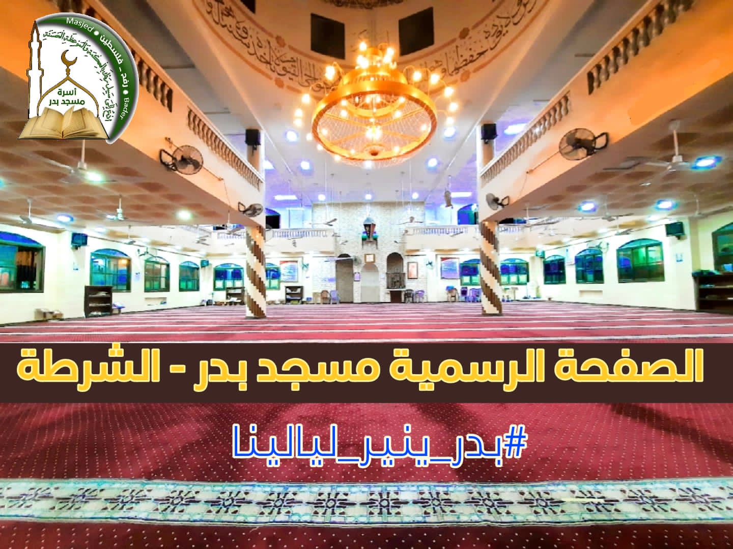أ.محمود موسى عوض بربخ - المقال (1) / :::لَيسَت النائِحةُ الثكلى ...