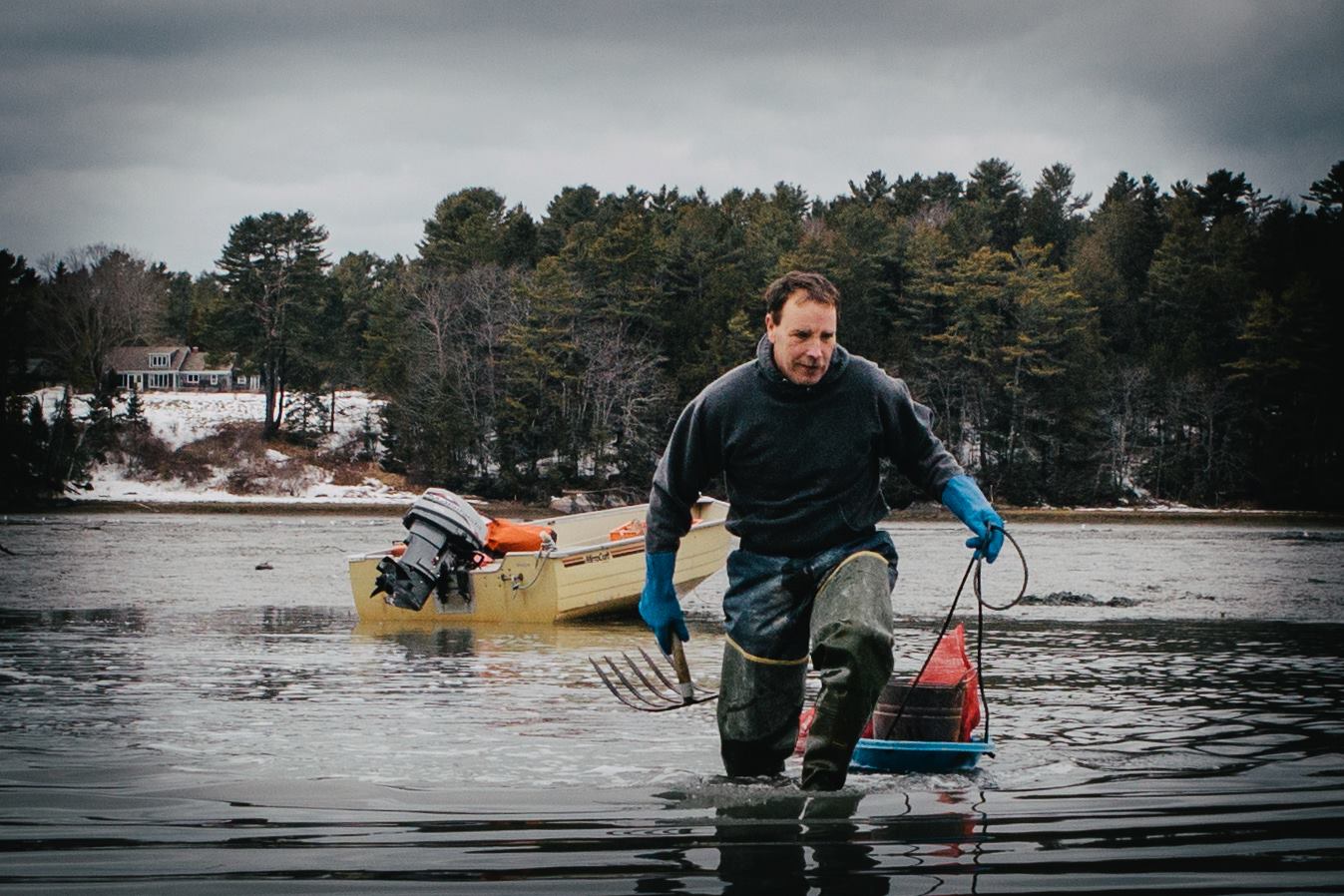 Freeport Shellfish Conservation | Freeport ME