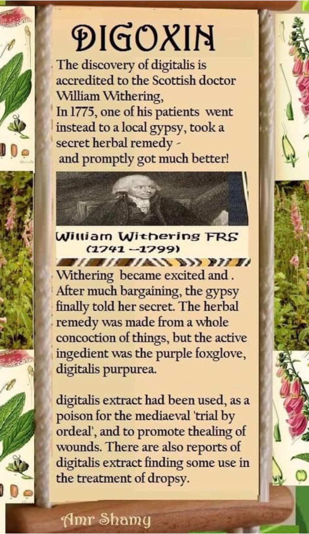CCU - 🎋 DIGOXIN #CCU_DRUG 🍀Purple Foxglove, Digitalis...