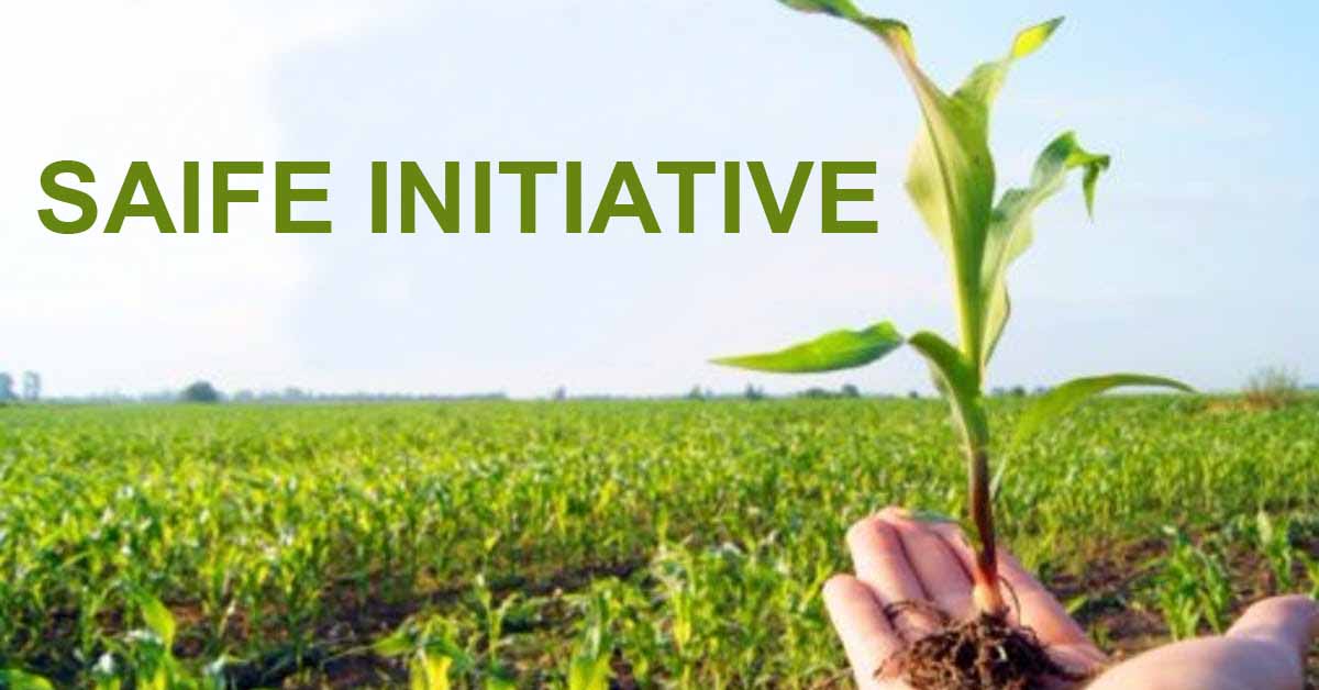 SAIFE initiative
