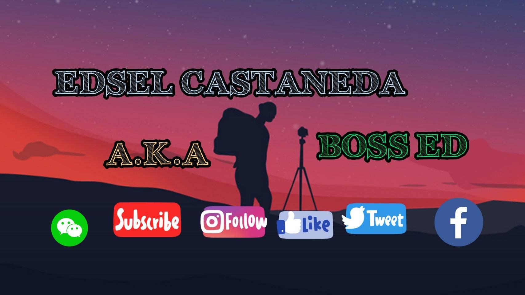 BOSS ED TV