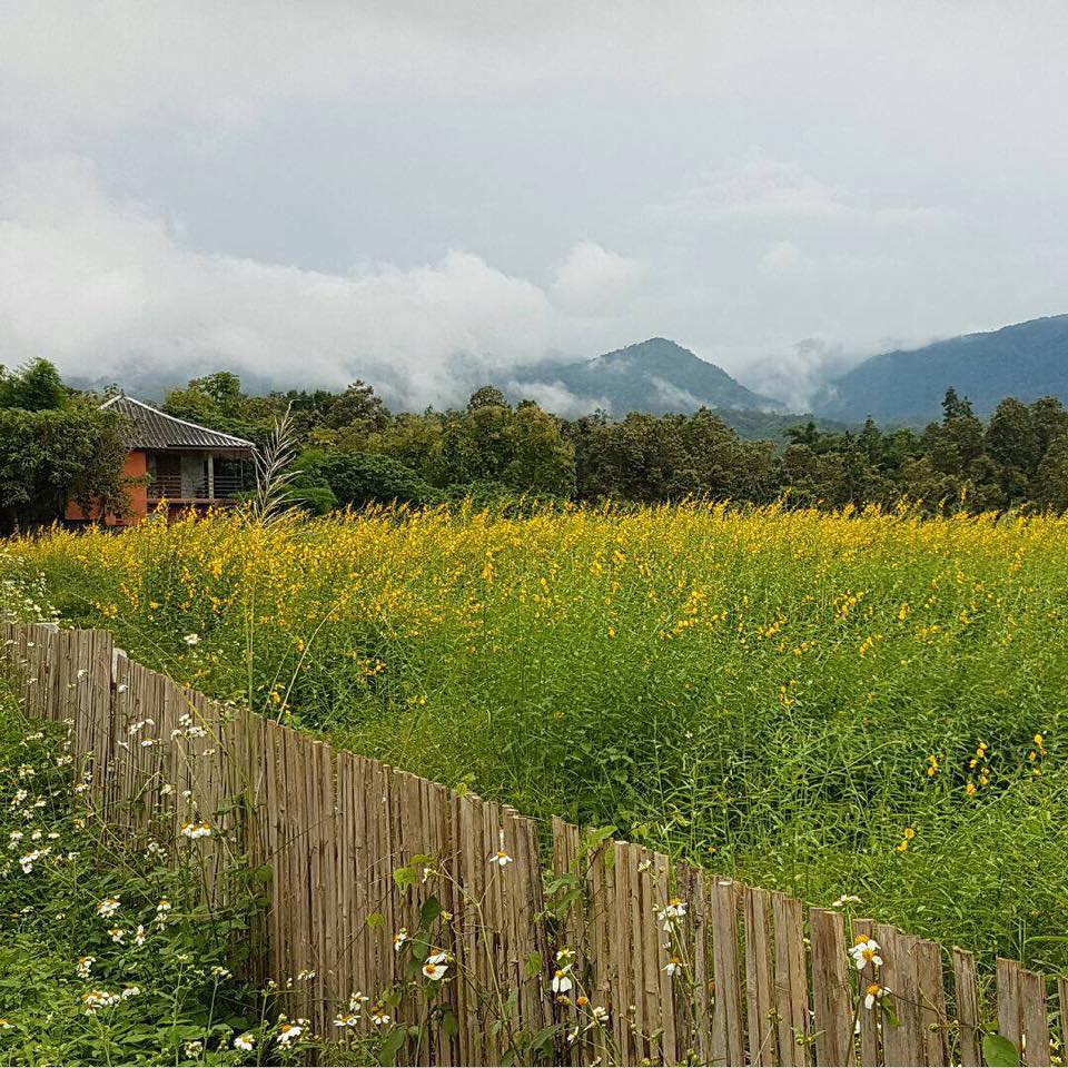Anna Farm & Eatery | Mae Rim